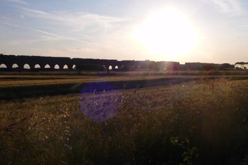 Rome on Two Wheels: Appian Way and Aqueducts Park Bike Tour