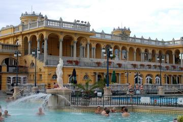 Luxereis van een dag met limousine, champagne en thermale spa in ...