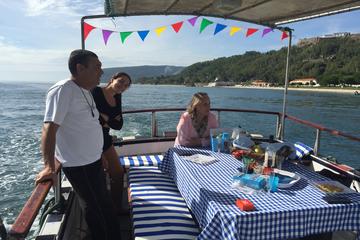 Dolphin Watching Experience inTrawler (For groups  All Inclusive - Up to 12 Pax)