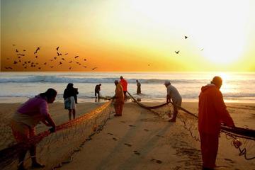Xávega Fisherman Experience with Dinner