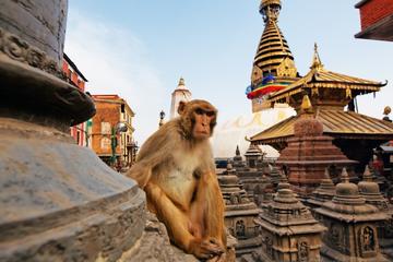 Private Kathmandu Sightseeing Tour