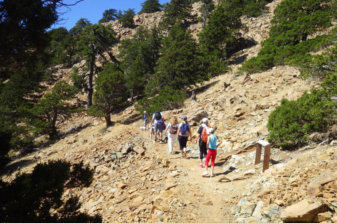 Top Cyprus Walking Trip (Troodos - Artemis trail and opt Caledonia Waterfalls)
