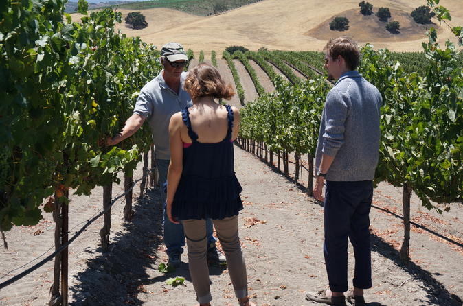 Private Winemaker's Wine Tour of Santa Barbara and Santa Ynez Valley