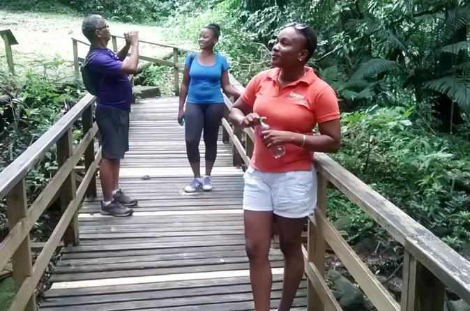 Vermont Nature Trail Hike