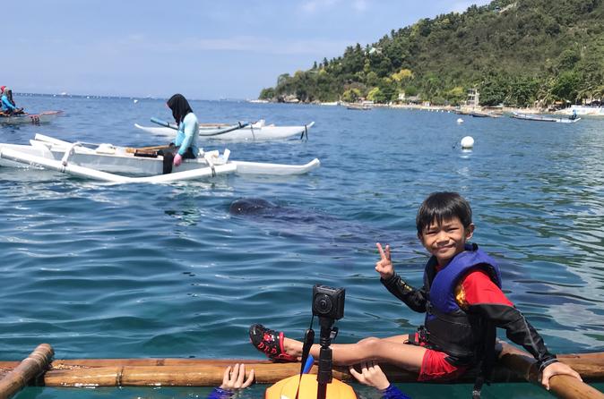 Cebu Whalesharks Snorkelling Tour
