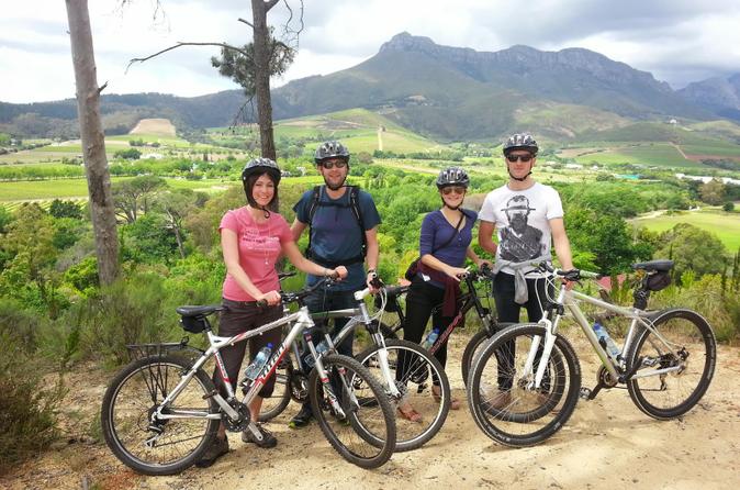 Guided Bike Tour of Stellenbosch