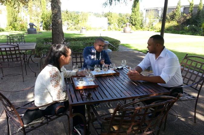 Vine Hopper: 2-Day Hop on Hop off Wine Tour Pass from Stellenbosch