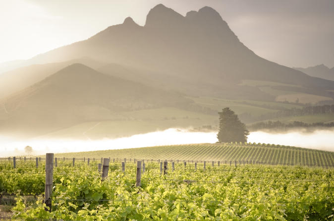 Vine Hopper: Hop-On Hop-Off Wine Tour - Northern Route