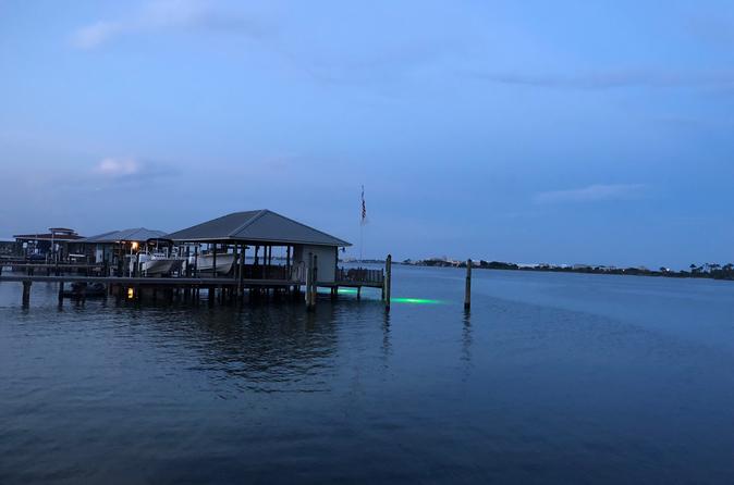 3 Hr - Private In Shore Night Fishing Charter