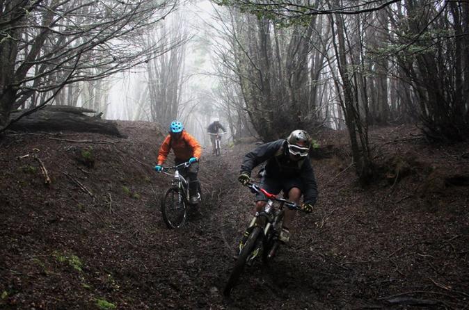 Mountain Bike Adventure in Punta Arenas