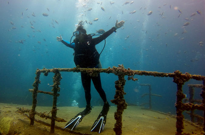 BAYAHIBE DIVING