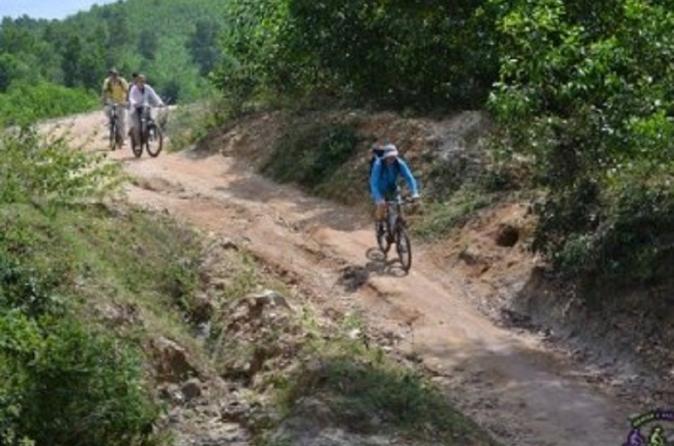 Sortie en vélo de montagne au départ de Hoi An