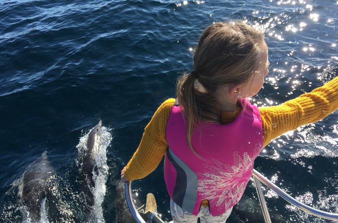 Among Dolphins and Whales Eco-Tour
