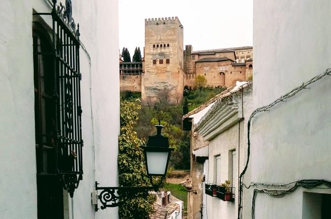 Private tour of Alhambra and Granada in a full day tour