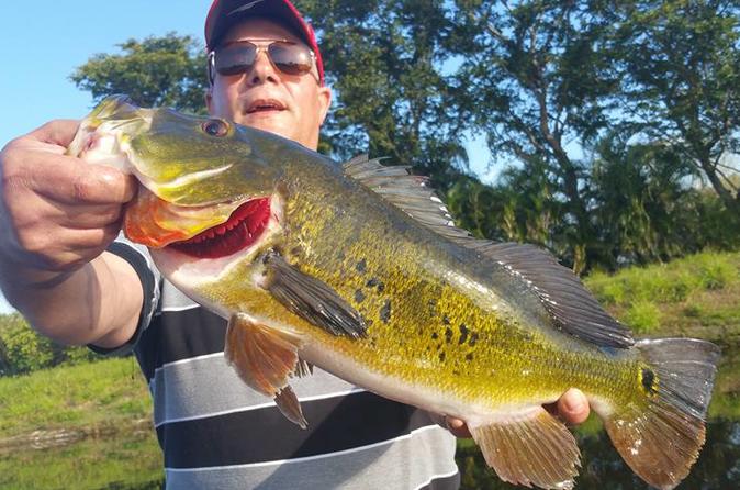 6-Hour Peacock Bass Fishing Trip near Key Largo