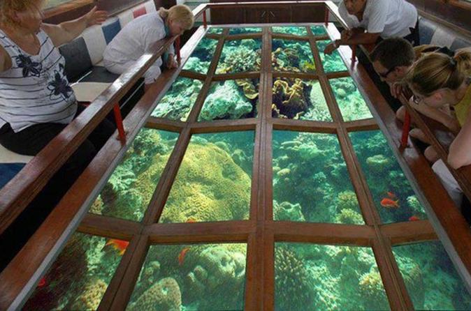 Glass Bottom Boat