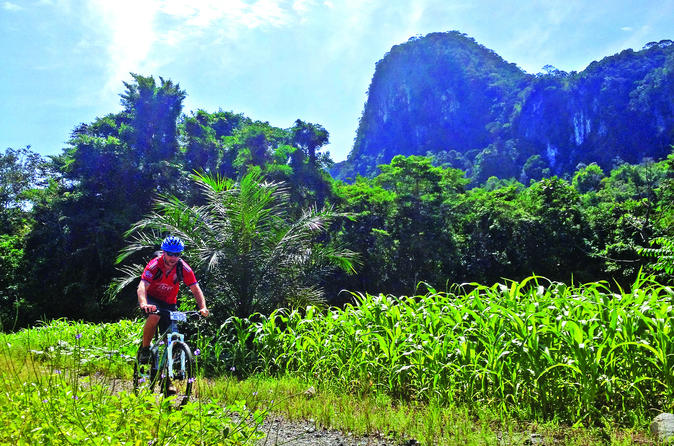 3-in-1 Ultimate Borneo Expedition Adventure