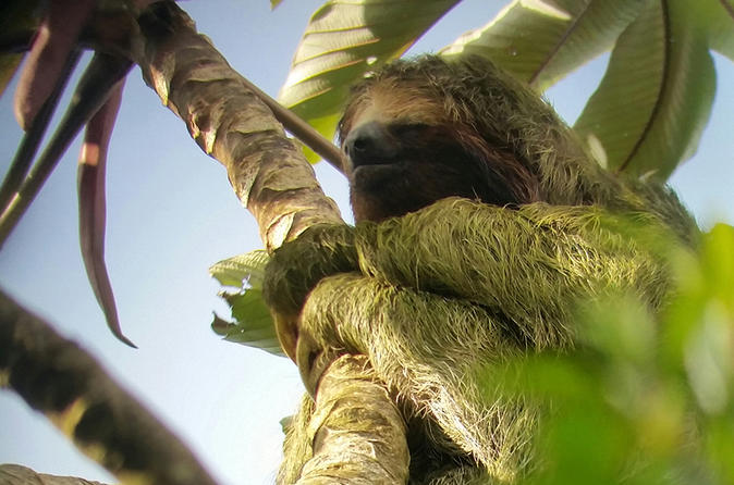 3-in-1 Arenal Combo Tour: Hanging Bridges, La Fortuna Waterfall & Volcano Hike