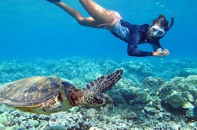Oahu Grand Circle Tour With Snorkeling From Waikiki Via Bus