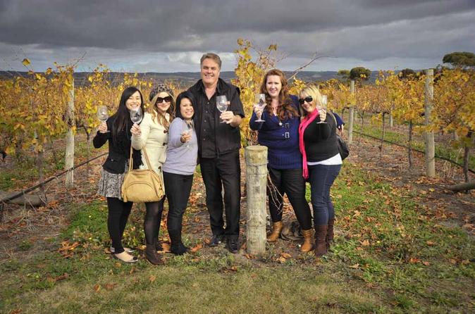 McLaren Vale Winery Tour from Adelaide Including Wine Tasting and Lunch