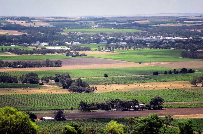 Northern Barossa Valley Small Group Day Trip from Adelaide or Glenelg