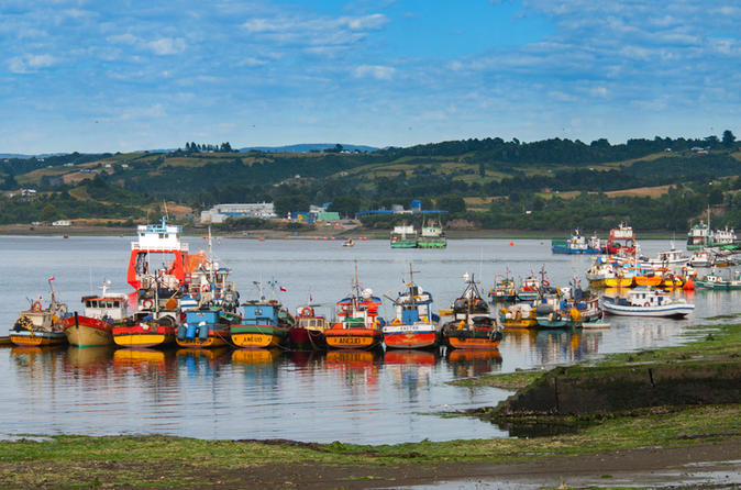 Full-Day Tour Chiloe Istand Including Ancud - Castro and Dalcahue from Puerto Varas
