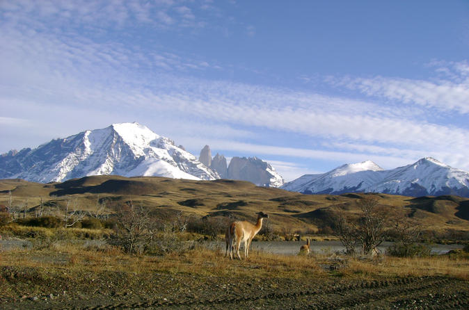 Torres del Paine Day Trip from Puerto Natales