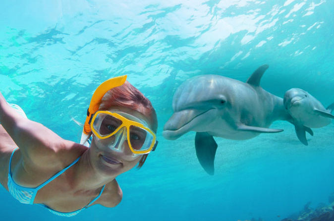 shell-island-dolphin-and-snorkeling-combo-in-panama-city-beach-202784.jpg (674×446)