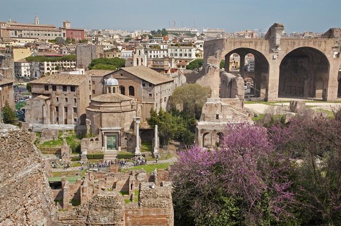 Recorrido Privado Colina Palatina En Roma Incluida Domus Augustana 21 Viator