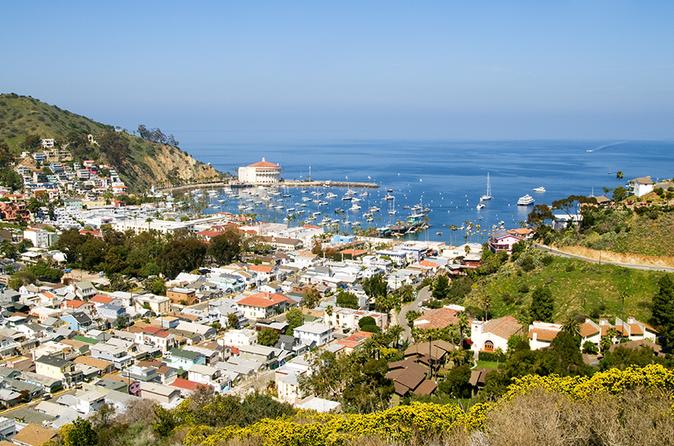 Catalina Island Avalon Scenic Tour