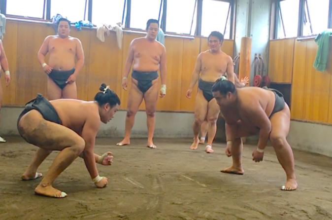 Watch morning practice at a sumo stable in tokyo in tokyo 251990