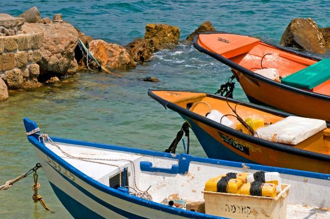Private Tour: Caesarea Haifa Akko and Mediterranean Coast Day Tour from Tel Aviv