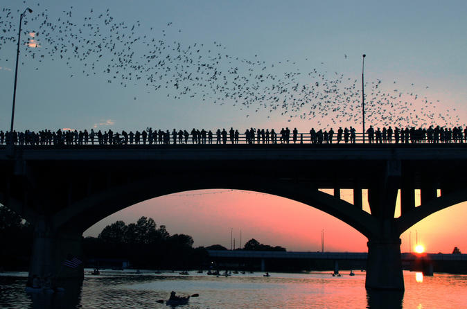 Austin Bat Watching Bike Tour