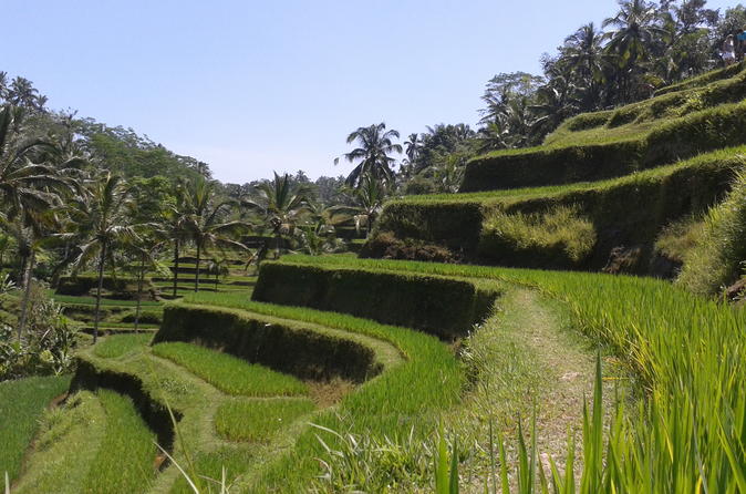 Ubud cultural day tour a day for balinese cultural experience in ubud 224871