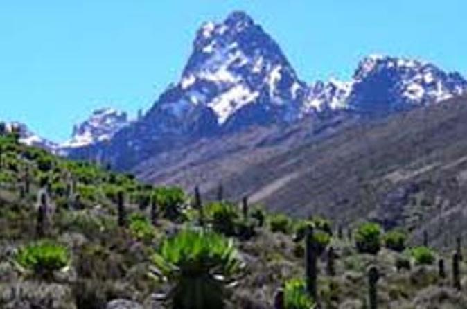 Mount kenya trekking ,Masai mara ,samburu national park,amboseli national park,