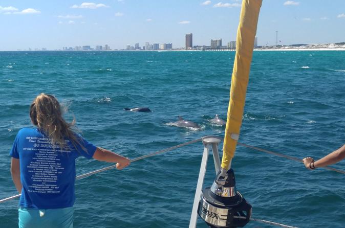 Dolphin Sightseeing Sail on The Privateer Catamaran