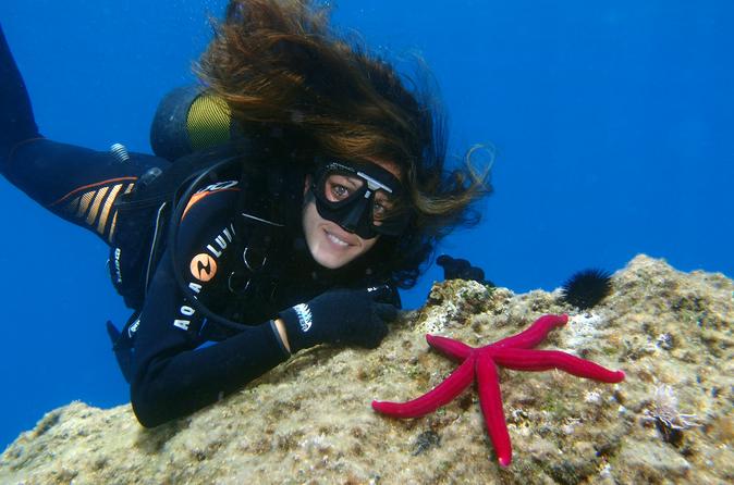 Scuba Diving Beginners 1 dive - 09:00