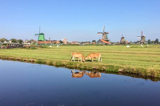 Small Group Zaanse Schans Windmills and This is Holland combi