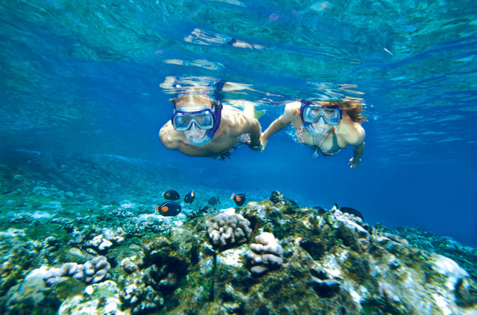 Best Snorkel Tours in Maui