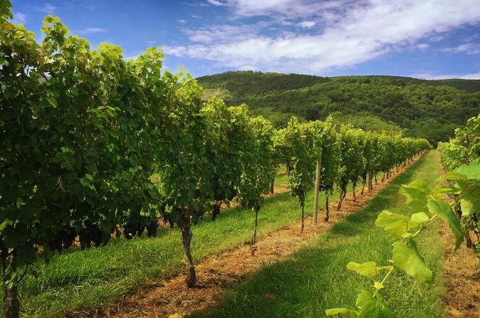 Weekday Virginia Private Custom Wine Tour from Charlottesville
