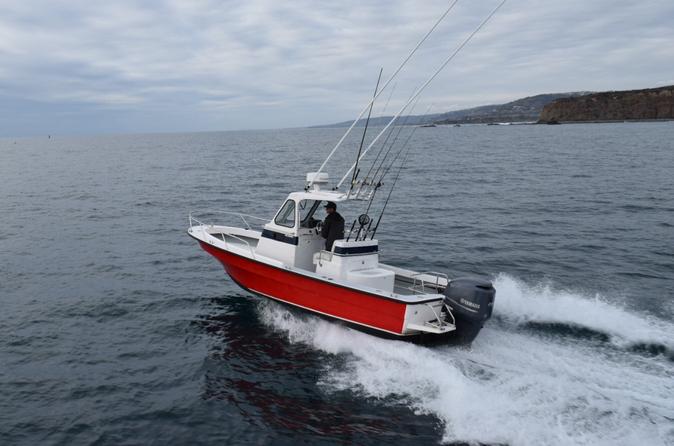 Exclusive Semi-Private Boat Tour: Ultimate Dolphin and Whale Watching Expedition - Laguna Beach California