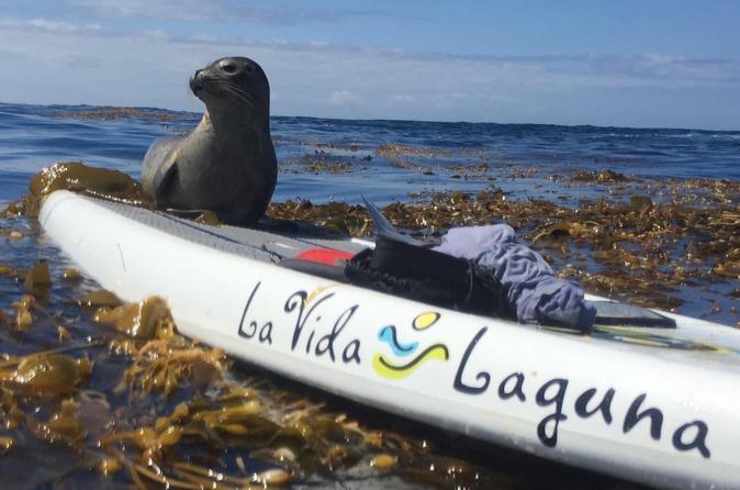 Laguna Beach SUP Lesson and Tour