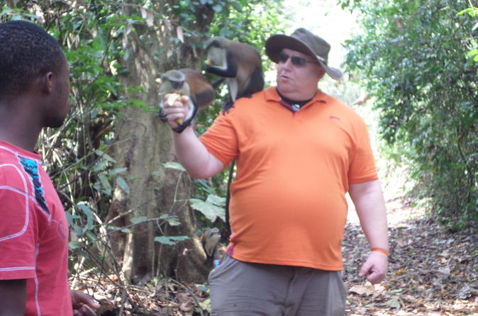 8-Day Guided Safari of Ghana from Accra
