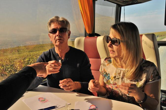 2-stündiger Ausflug mit Champagner- und Schokoladenverkostung in die Weinberge von Epernay