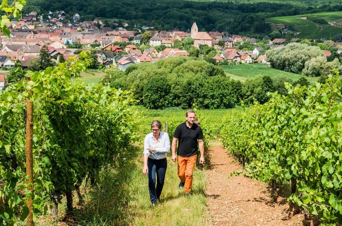 Alsace Food, Wine & Nightlife