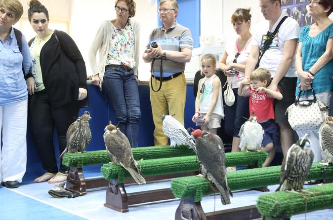 Tour di 2 ore del Falcon Hospital di Abu Dhabi