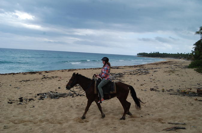 Punta Cana Horseback Riding on the Beach