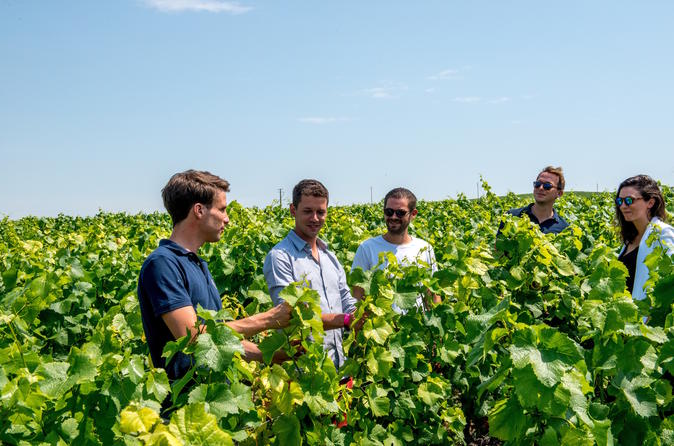 Tour della Champagne per piccoli gruppi con degustazioni di champagne e pranzo da Reims