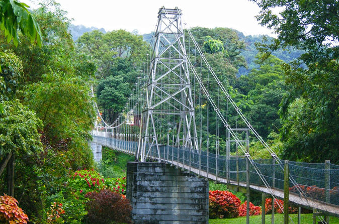 Private Tour of Pinnawala, Kandy and Peradeniya