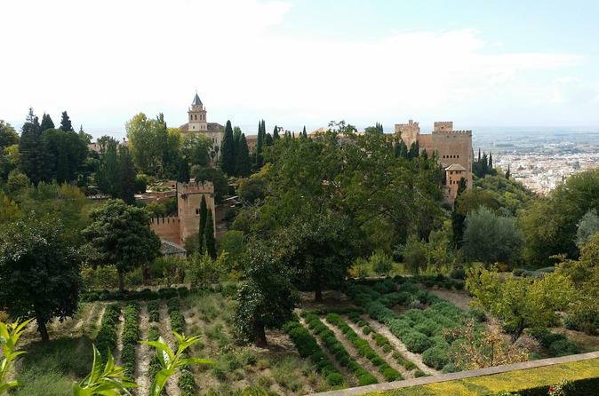 Private Full Day Tour to the Alhambra from Marbella